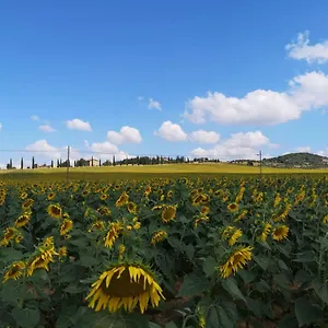 incantevole appartamento in borgo di campagna Perugia